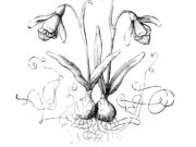 Apa yang kita semua mainkan akhir pekan ini?