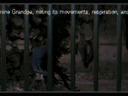 Tumbuhkan kakekmu sendiri di game horor indie kecil yang sangat tidak menyenangkan ini