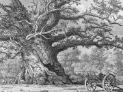 Apa yang kita semua mainkan akhir pekan ini?