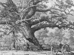 Apa yang kita semua mainkan akhir pekan ini?