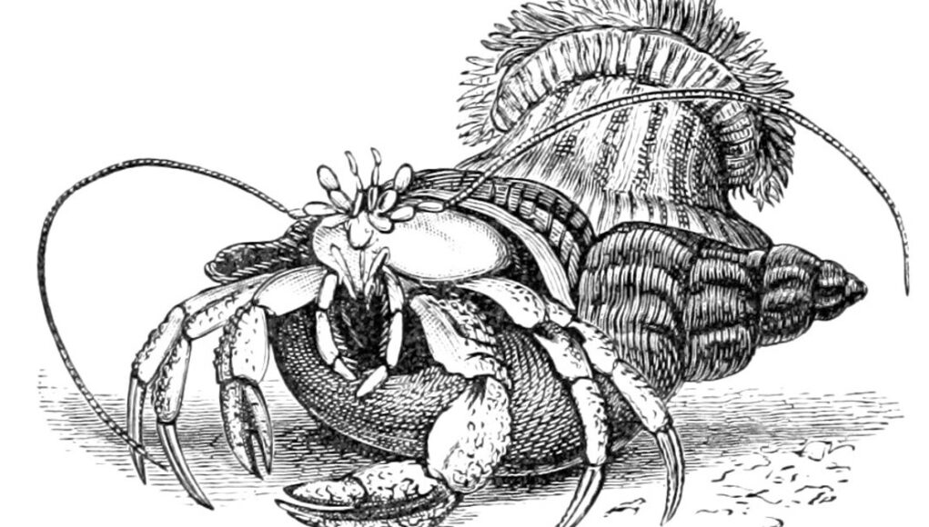 Apa yang kita semua mainkan akhir pekan ini?