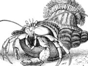 Apa yang kita semua mainkan akhir pekan ini?