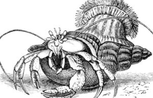 Apa yang kita semua mainkan akhir pekan ini?