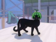 Saya tidak puas dengan pemilihan topi di Little Kitty, Kota Besar