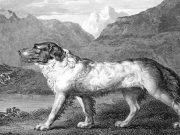 Apa yang kita semua mainkan akhir pekan ini?