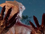 Acak: Baldur’s Gate 3 Sadist Menyelesaikan ‘Ultimate Durge Playthrough’, Menyimpan Mayat