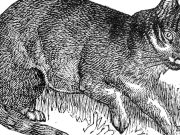 Apa yang kita semua mainkan akhir pekan ini?