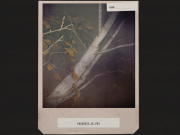 Ada dongeng Finlandia yang menakjubkan di jantung hutan Alan Wake 2