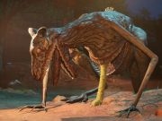 Hewan-hewan bengkok dari sim penjaga kebun binatang horor Zoochosis akan dilepaskan dari kandangnya di musim gugur