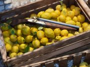 Mafia: The Old Country hadir pada tahun 2025, membawa serial ini ke Sisilia awal abad ke-20