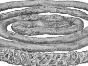 The Maw: apa yang baru di game PC minggu ini?