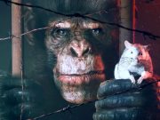 Protokol Penggunaan Hewan terasa seperti Ruang Mati, tetapi Isaac Clarke adalah simpanse