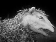 Silakan nikmati domba Daemonologie yang luar biasa normal bersama saya